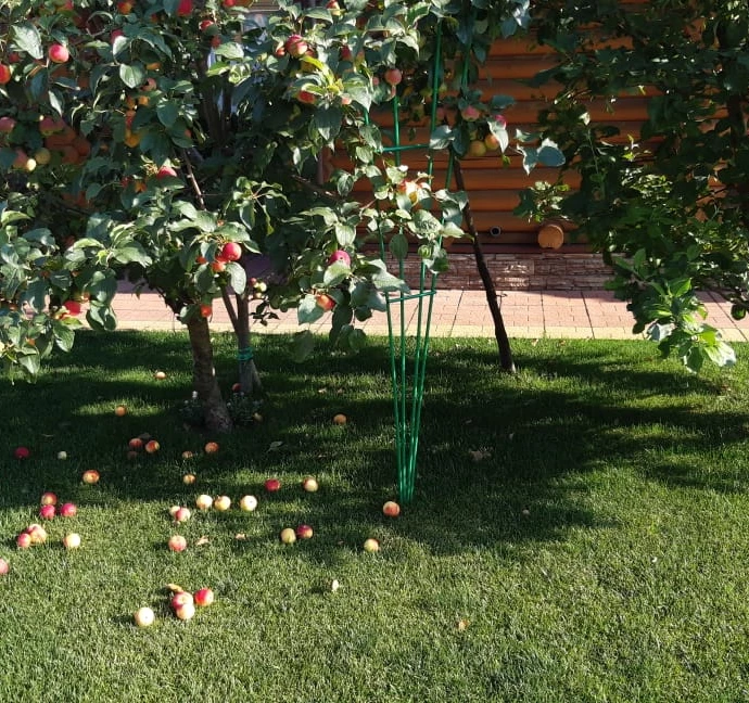 Урожай