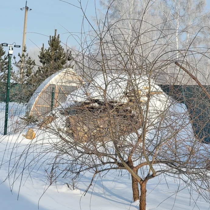 позднеосенняя посадка